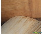 Stolarka budowlana Winter WINTER centrum do stolarki budowalnej HOMECENTER id:5540