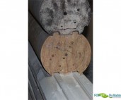 Stolarka budowlana Winter WINTER centrum do stolarki budowalnej HOMECENTER id:5548