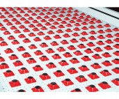 Prasy membranowe - próżniowe Winter WINTER membranowa prasa próżniowa RIBEXVAC ECO-B id:8166